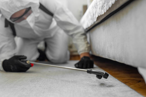 Professional Termite Control technician working in Tyrone, GA