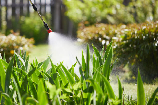 24/7 Emergency Termite Control experts in Tyrone, GA